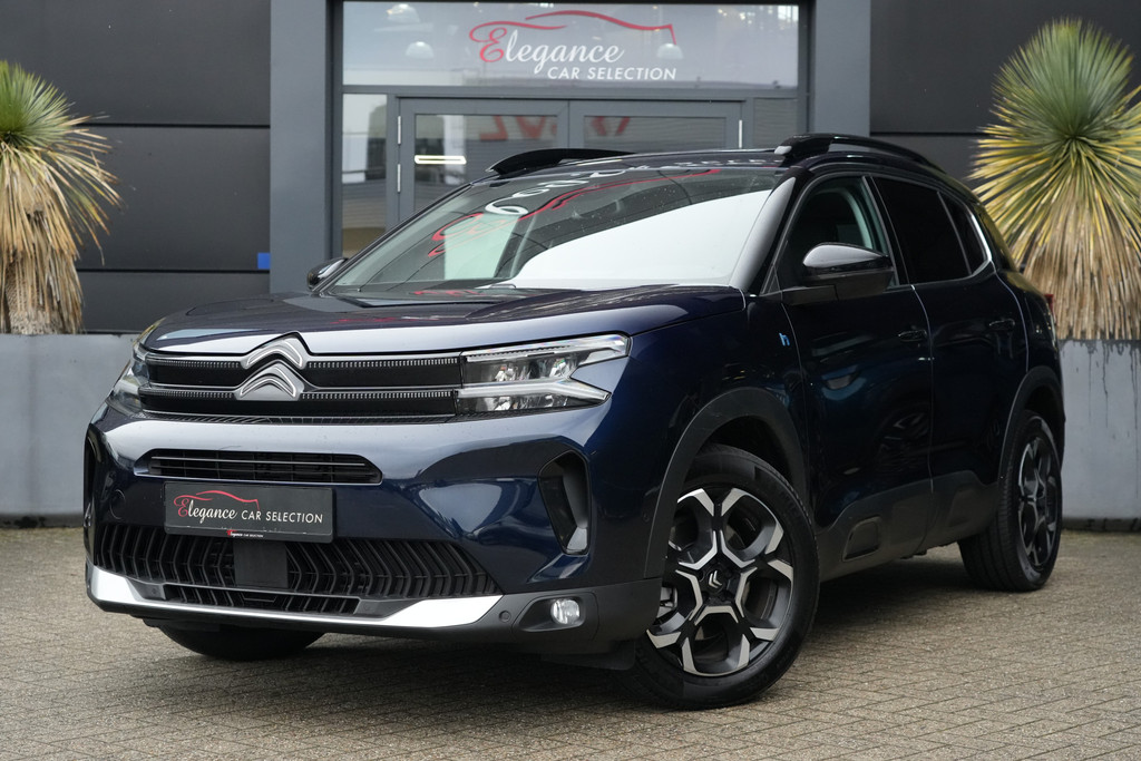 51339338