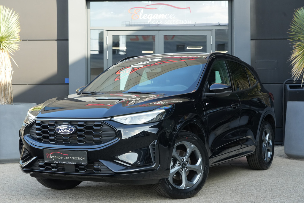 56578731