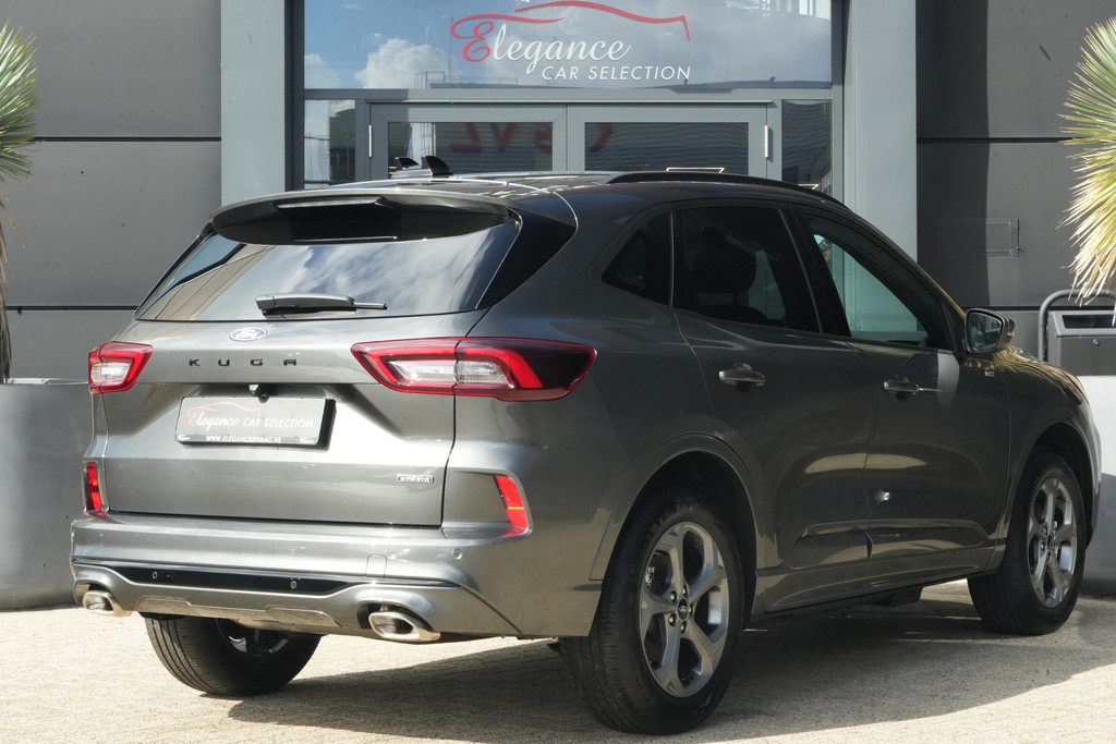 56578852-1.jpg
